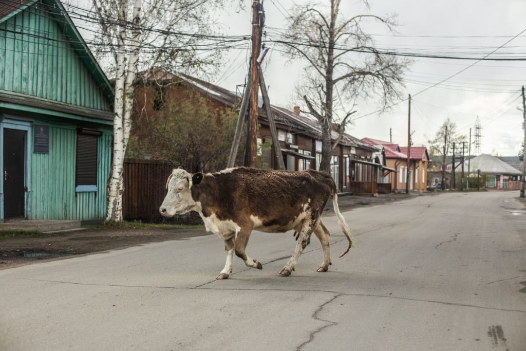 Антон Климов